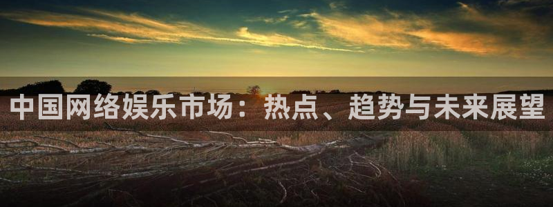 富联娱乐：中国网络娱乐市场：热点、趋势与未来展望