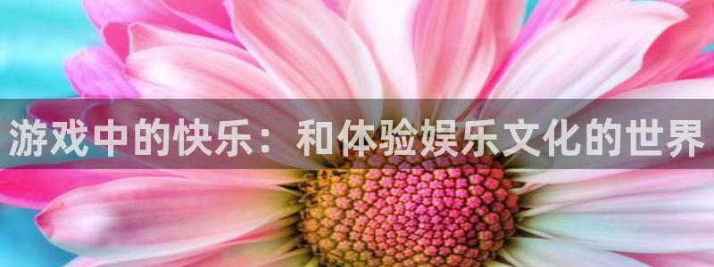 富联娱乐：游戏中的快乐：和体验娱乐文化的世界