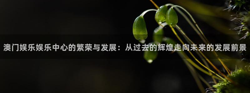 富联娱乐：澳门娱乐娱乐中心的繁荣与发展：从过去的辉煌走向未来的发展前景