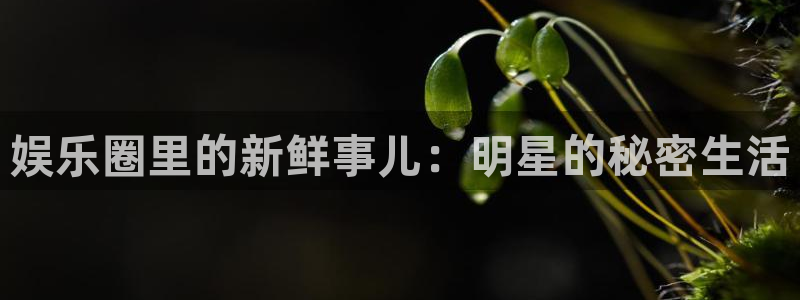 富联娱乐：娱乐圈里的新鲜事儿：明星的秘密生活