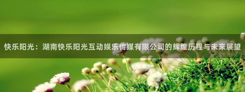 富联娱乐：快乐阳光：湖南快乐阳光互动娱乐传媒有限公司的辉煌历程与未来展望