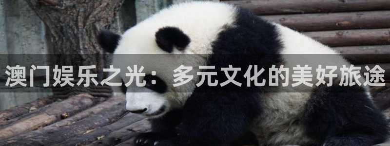富联娱乐：澳门娱乐之光：多元文化的美好旅途