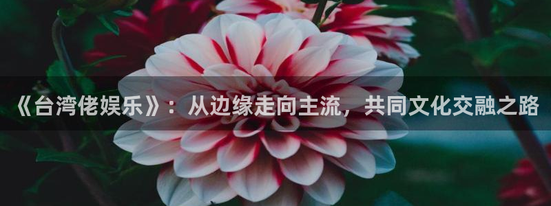 富联娱乐：《台湾佬娱乐》：从边缘走向主流，共同文化交融之路